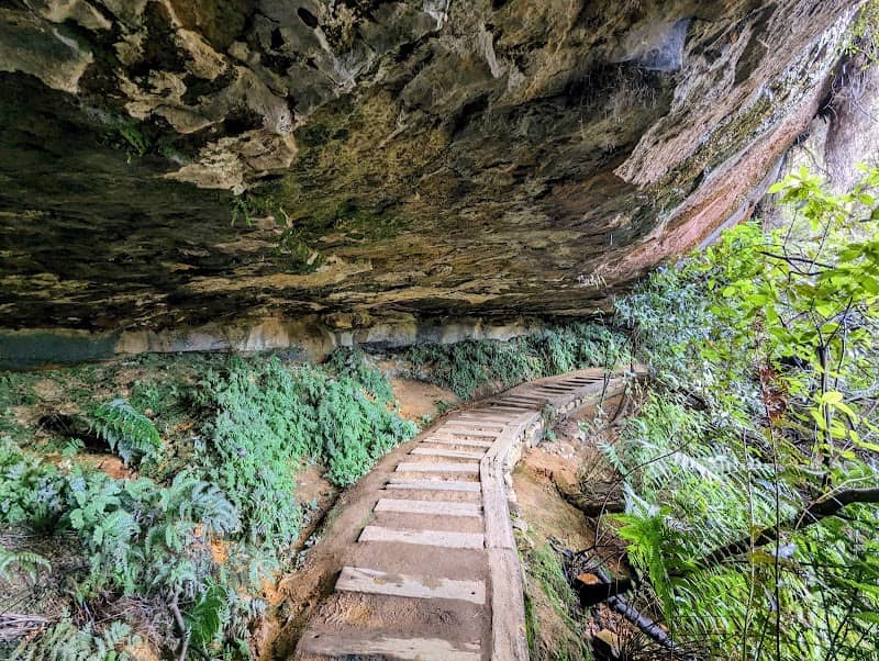 Overcliff-Undercliff track - Image 1