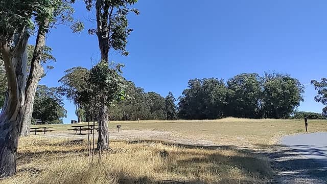 Point Pinole Regional Shoreline - Image 3