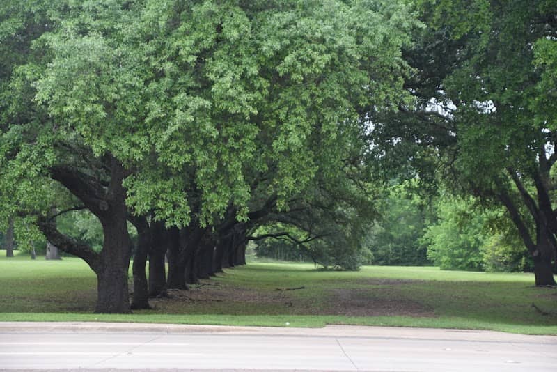 Andy Anderson Arboretum - Image 2