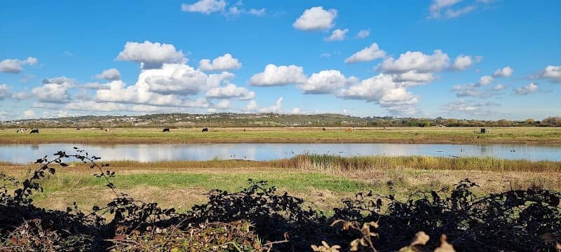 Twelve Acres Point - Image 2