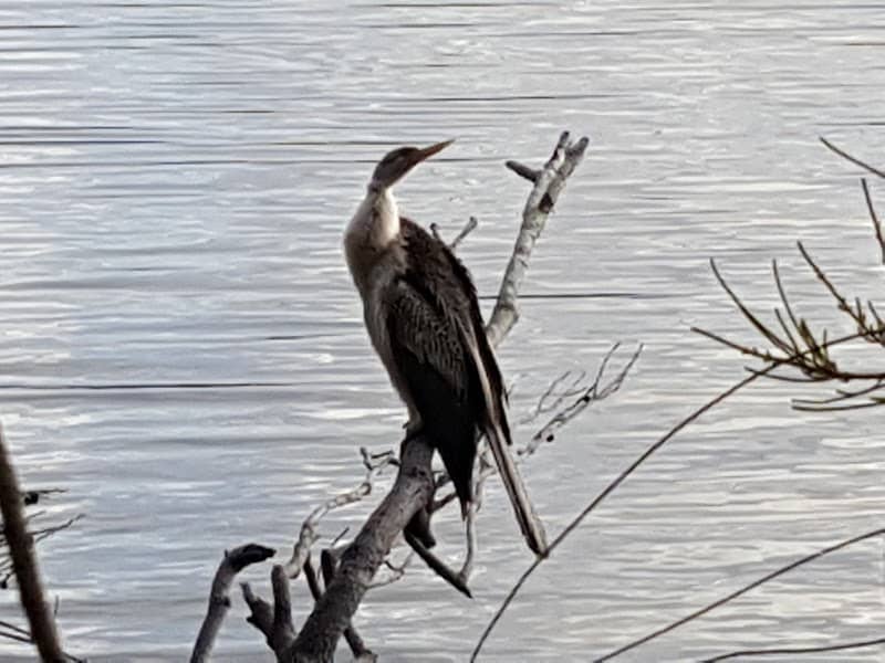 Lumeah Reserve - Image 2