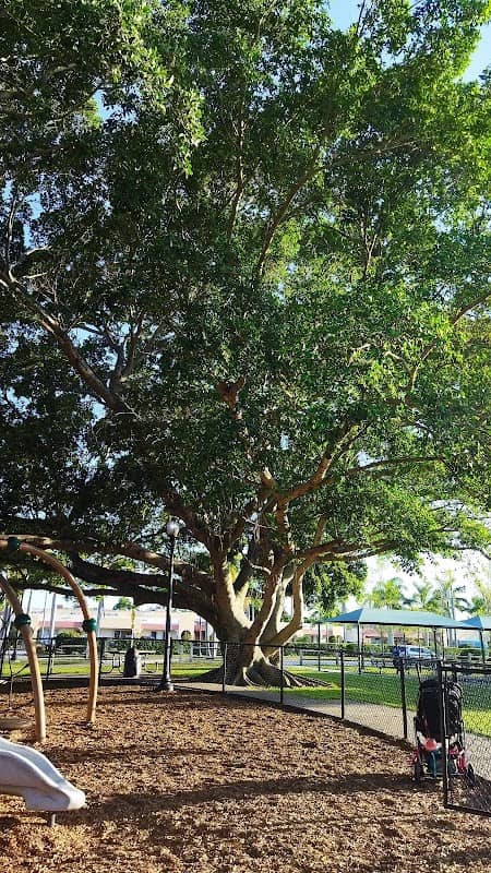 Camellia Park - Image 2