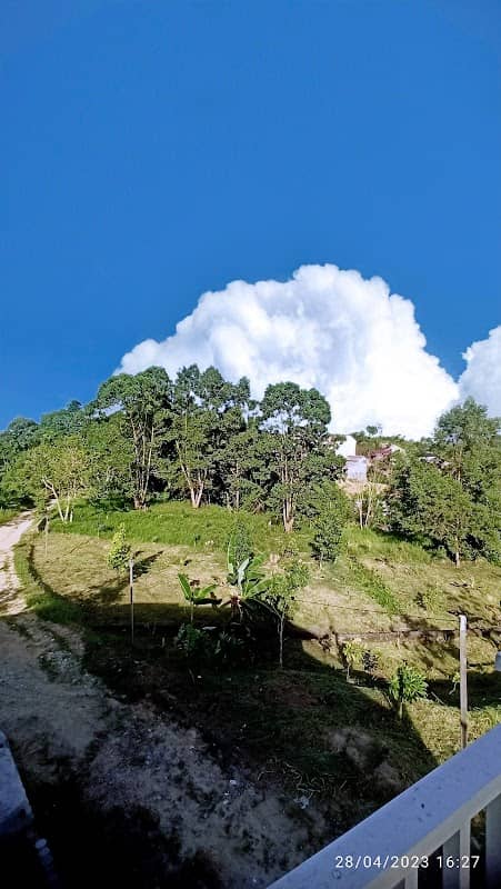 PUNCAK Pandan Mekar - Image 2