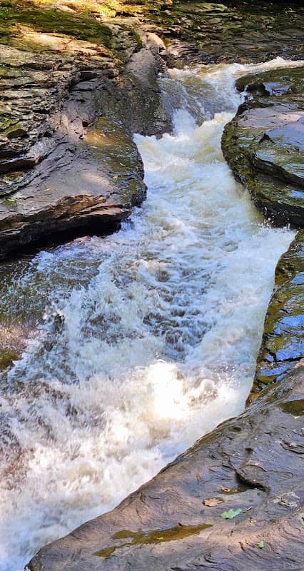 Meadow Run Slides - Image 2