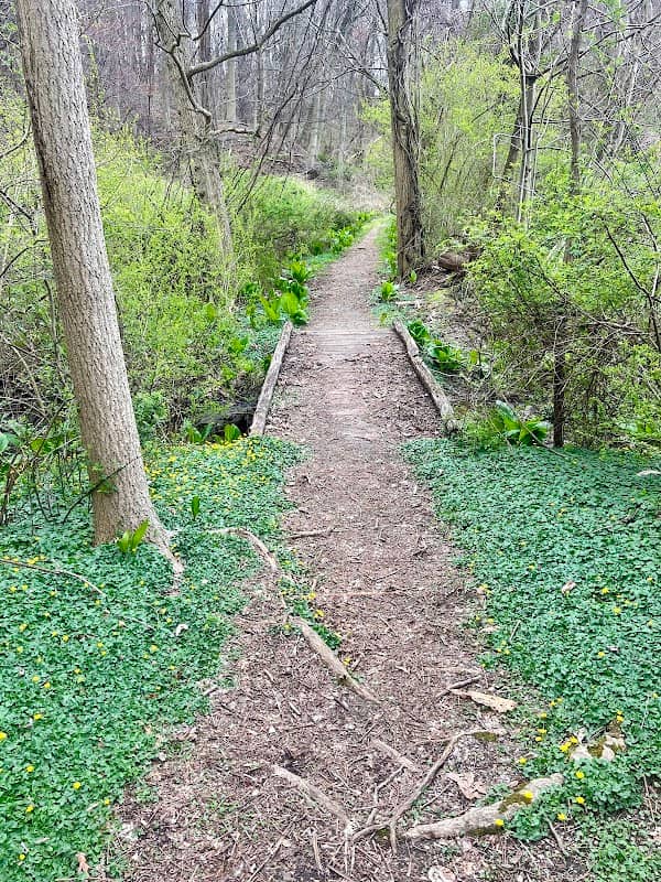 Crawbuckie Park and Nature Preserve - Image 2