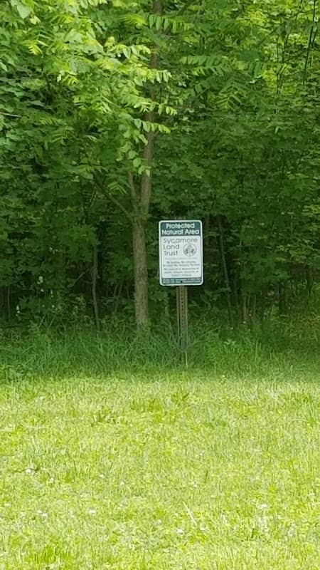 Ghurye Arboretum - Image 2