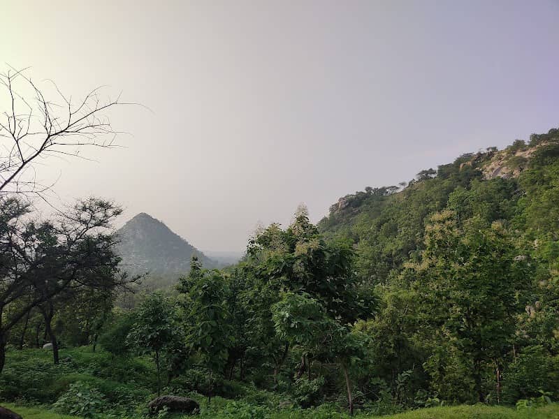 વેવારિયો ડુંગર - Image 1