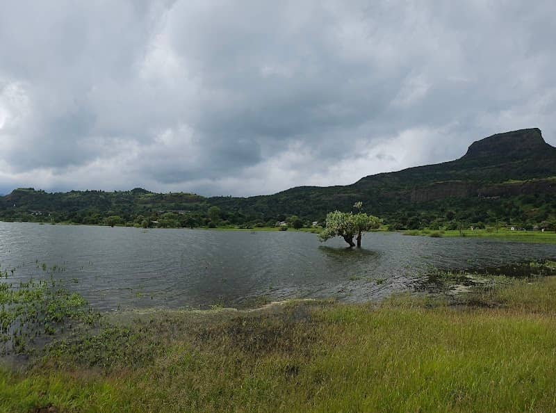 Beach Point Pimpalgaon Joga Dam Malshej - Image 2