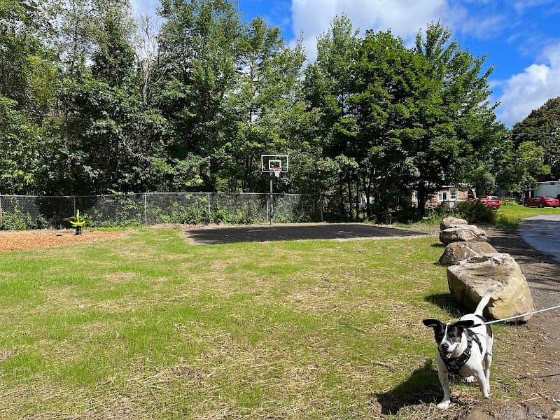 Albert Thomas Park - Image 2