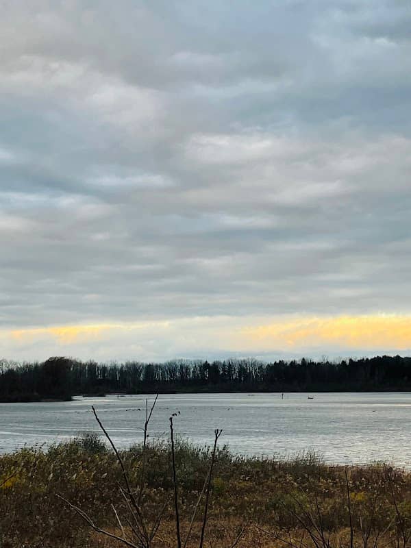 Mallard Overlook - Image 1