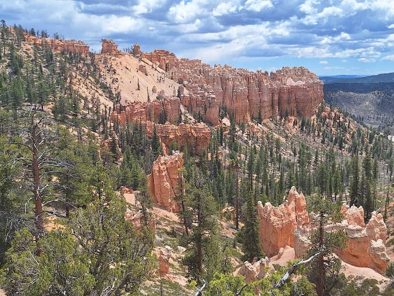 Swamp Canyon Overlook - Image 1