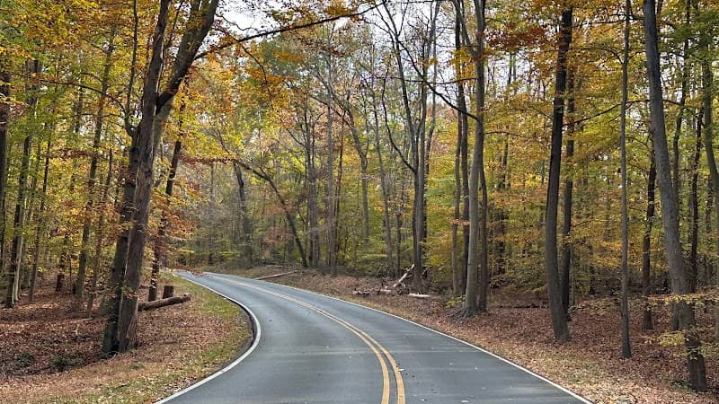 Greenbelt Park - Image 2
