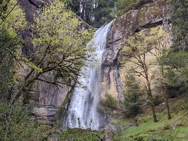 Golden And Silver Falls State Natural Area - Image 2