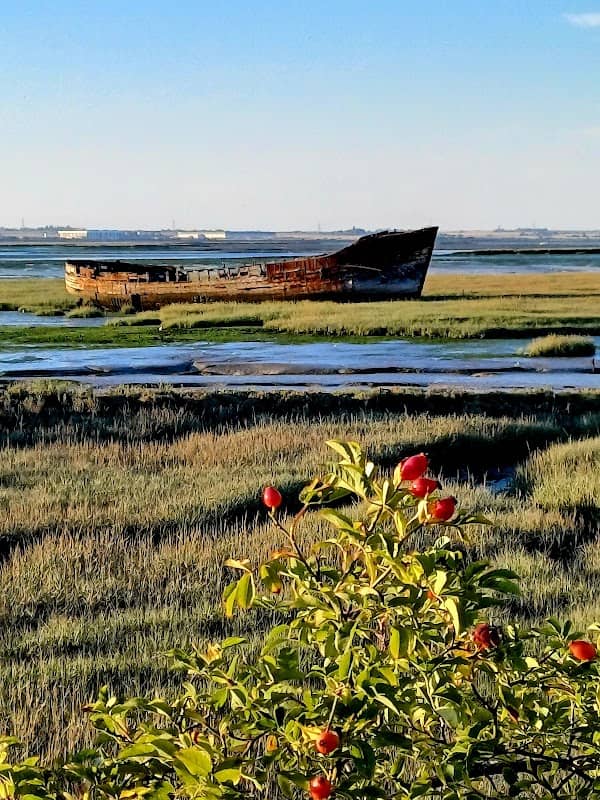 Rainham Dock East - Image 2