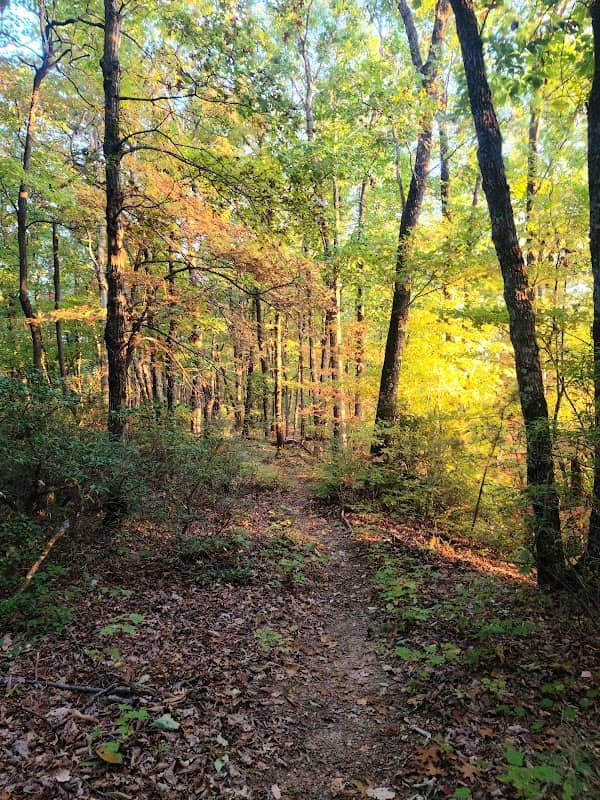 Cedar Ridge Trailhead - Image 1