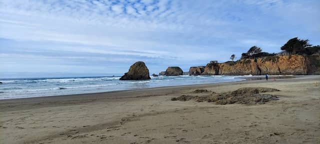 California's Fort Bragg bears - historical landmark - Image 1