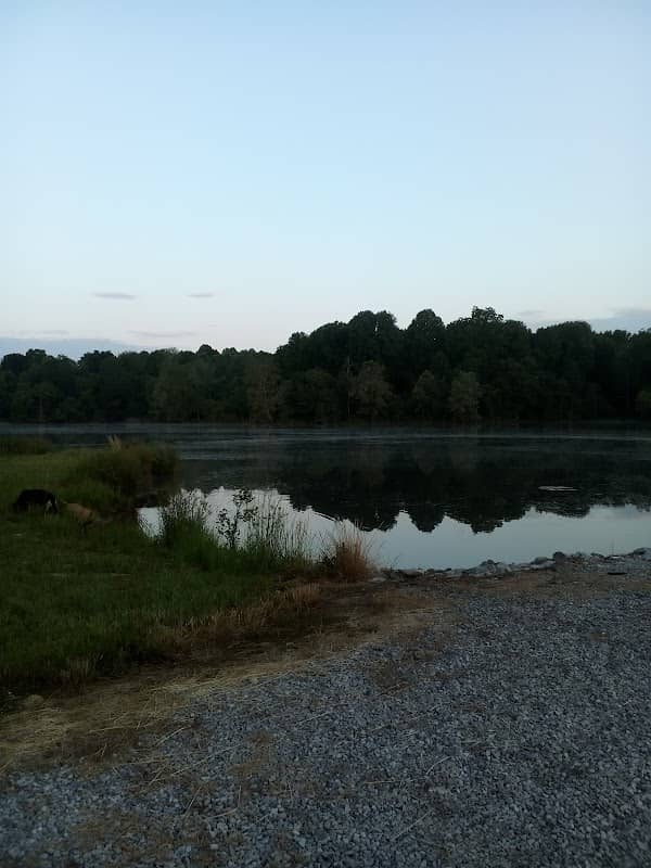 Lake Mauzy Dock - Image 2