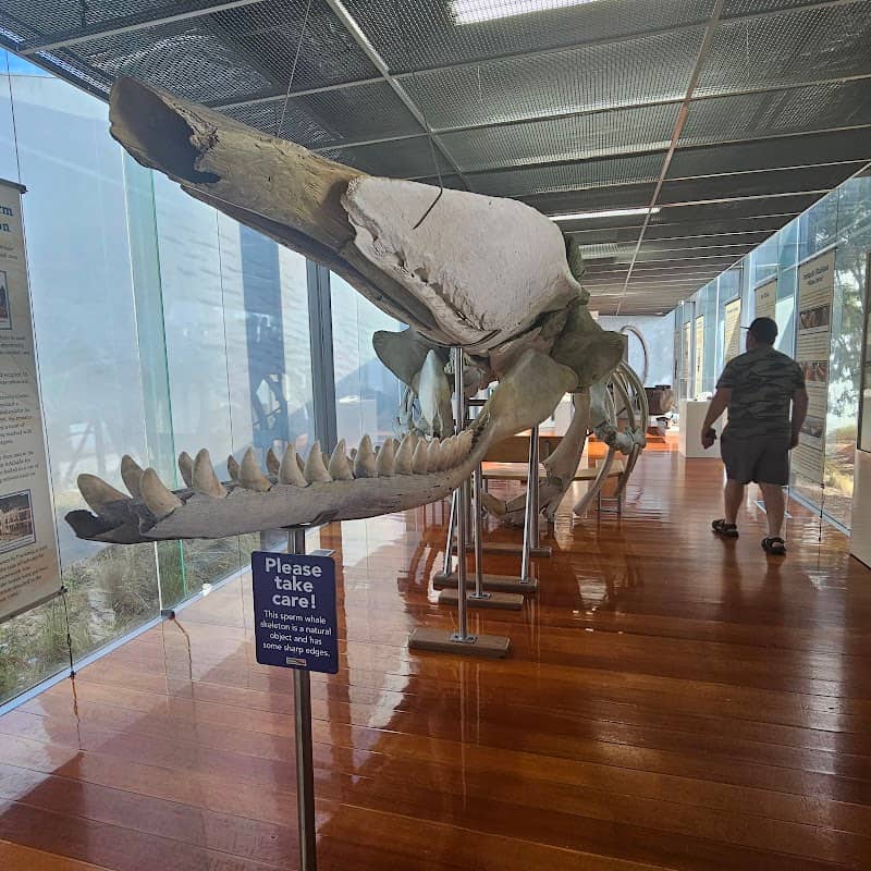 Portland Maritime Discovery Centre - Image 2