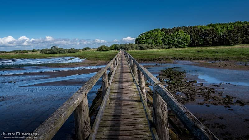 Aberlady Bay Local Nature Reserve - Image 1