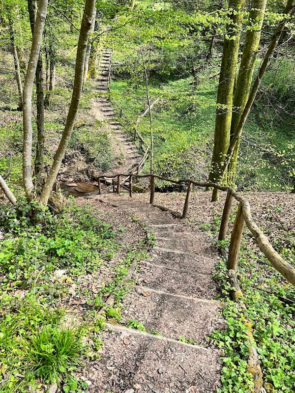 Natura Trail Mandelbachtal - Image 1