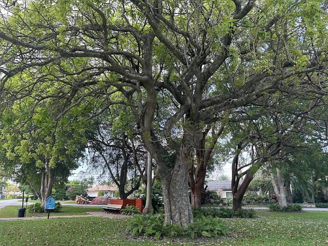 Lieber Park - Image 1