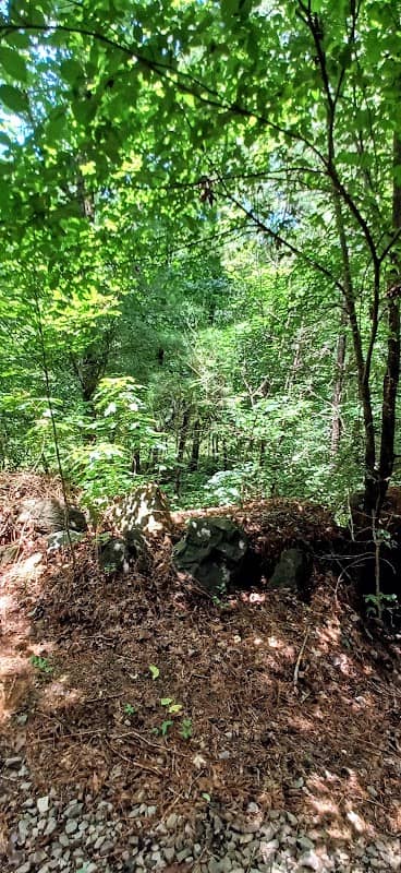 Chapel Hills Walking Trail - Image 1