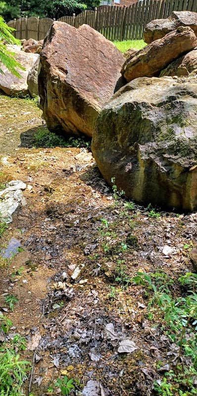 Chapel Hills Walking Trail - Image 2
