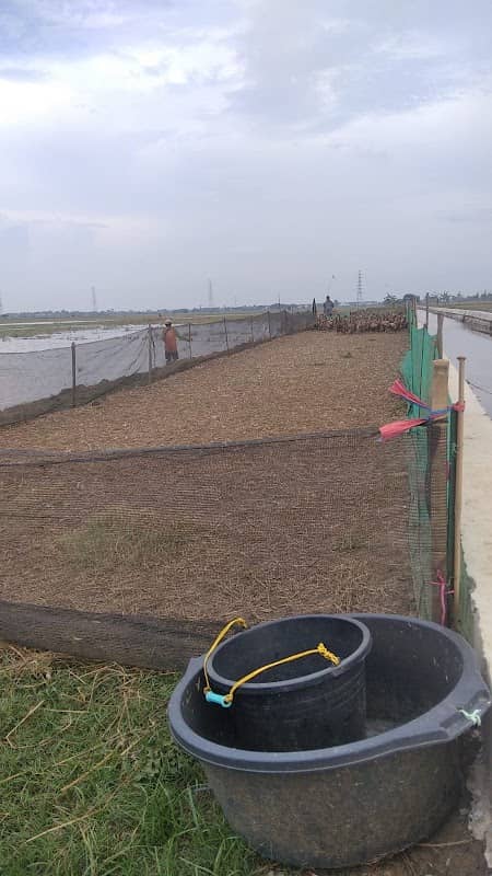 Taman sawah ci kempelang - Image 1