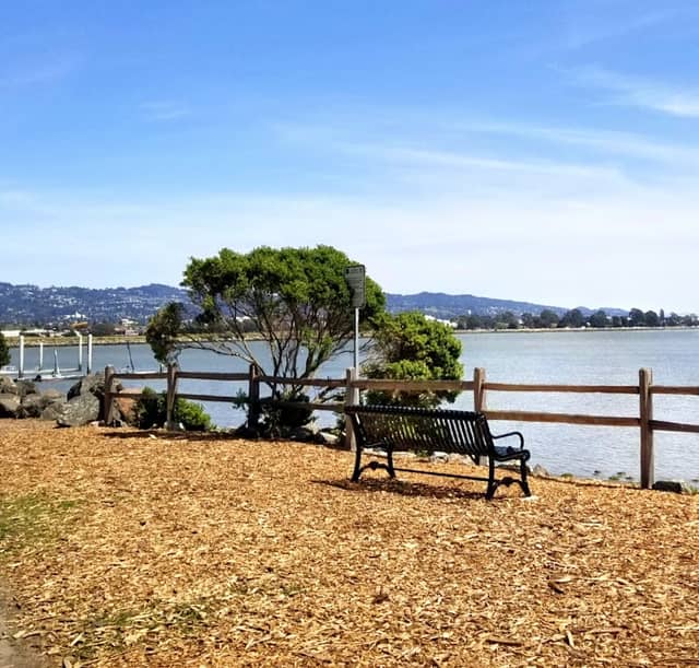 Shorebird Park - Image 2