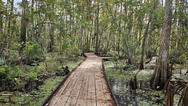 Jean Lafitte National Historical Park and Preserve - Image 2