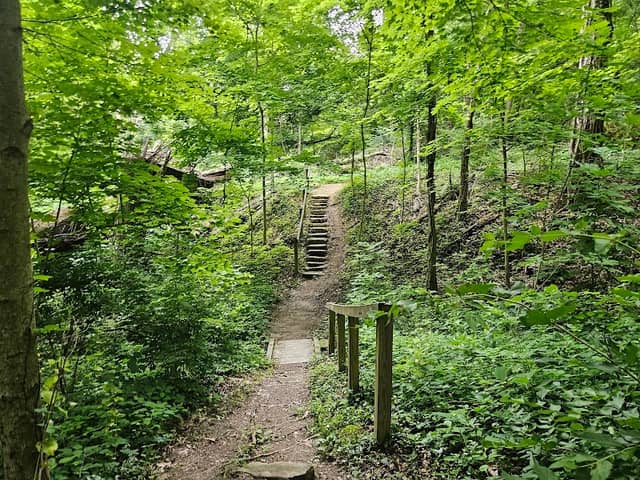 Silver Hills Historical Nature Trail & Wildlife Sanctuary - Image 3