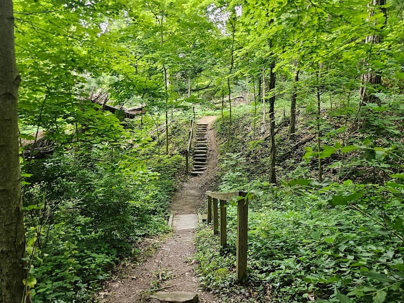 Silver Hills Historical Nature Trail & Wildlife Sanctuary - Image 3
