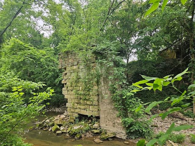 Silver Hills Historical Nature Trail & Wildlife Sanctuary - Image 2