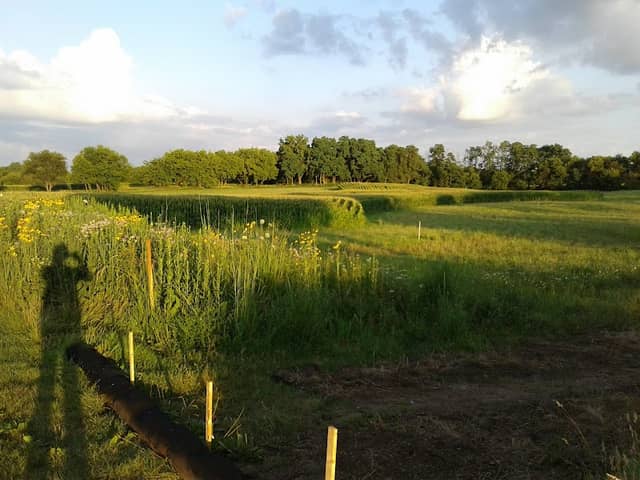 Hoffman Park - Image 1