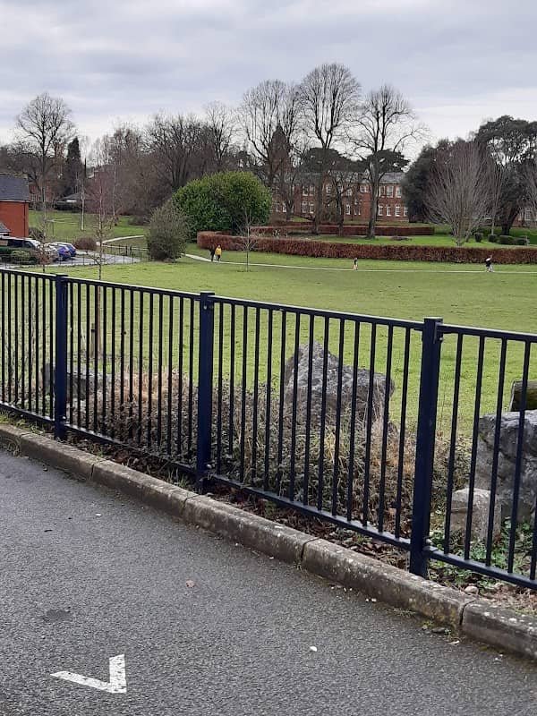 Green Space - Image 2