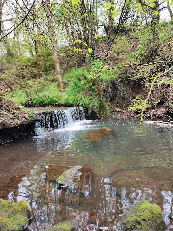 The Falls - Image 1