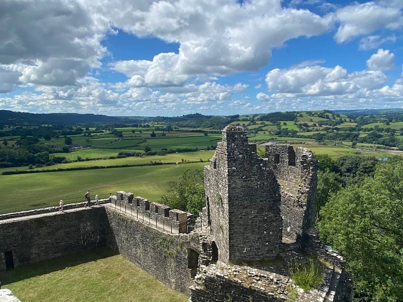 Castell Dinefwr - Image 2