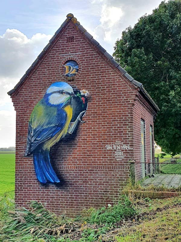 Pimpelmees Muurschildering - Image 1