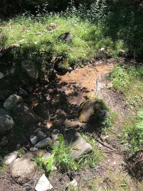 Natural Spring - Image 2