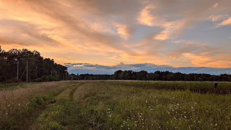 The Meadows - Image 1