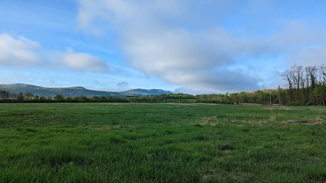 The Meadows - Image 2