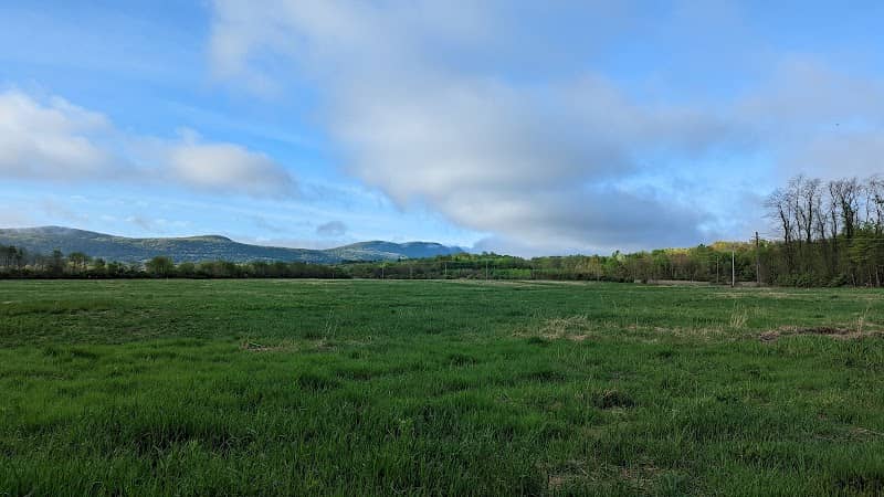 The Meadows - Image 2