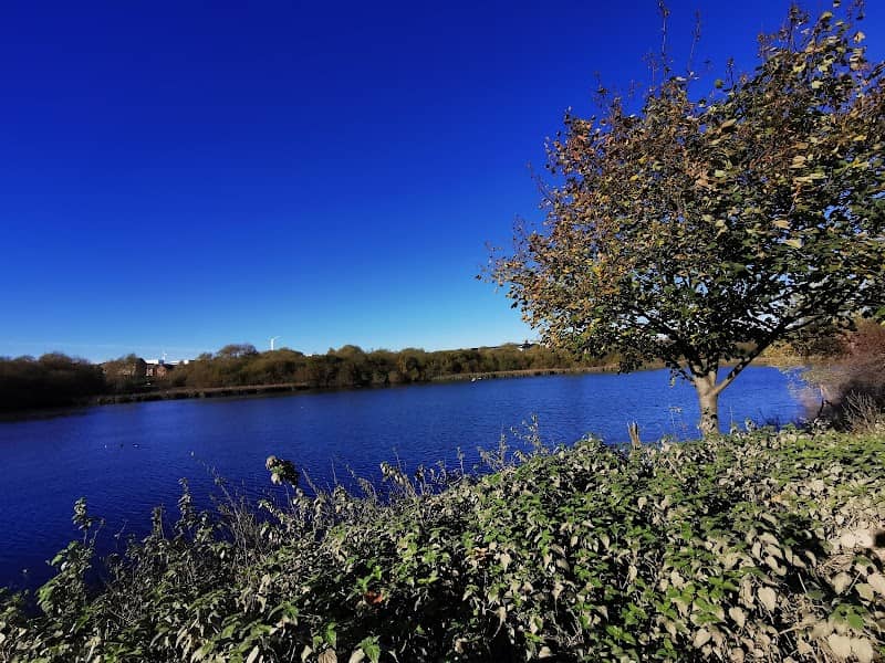 Catcliffe Flash Nature Reserve - Image 1