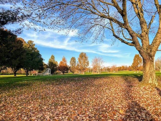 Phillips Park - Image 1