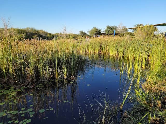 Oso Bay Wetlands Preserve and Learning Center Corpus Christi, TX - Image 3