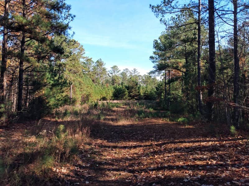 James River Wildlife Management Area - Image 2