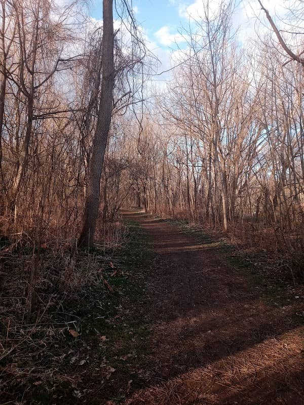 Middle Island Trails - Image 1