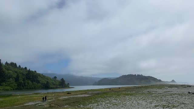 Ocean by the Road - Image 2