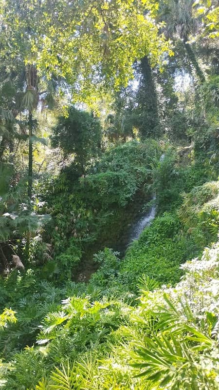 Rainbow Springs - Image 1