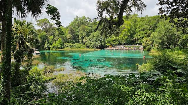 Rainbow Springs - Image 3